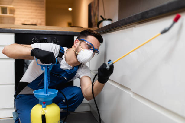 Best Pest Control Cost  in Palmyra, WI