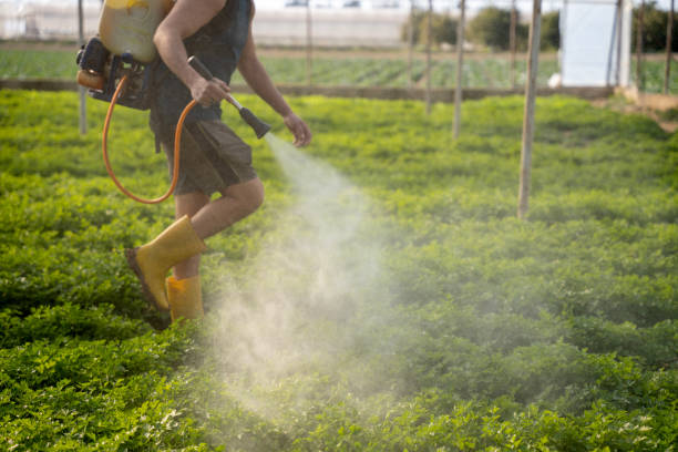 Pest Control Cost in Palmyra, WI