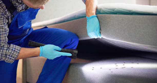 Best Affordable Exterminators  in Palmyra, WI