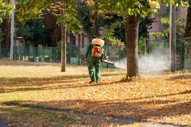 Best Mosquito Control Services  in Palmyra, WI