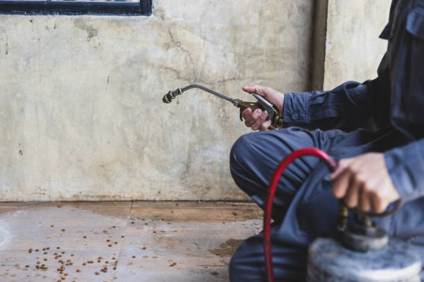 Flea Control Services in Palmyra, WI